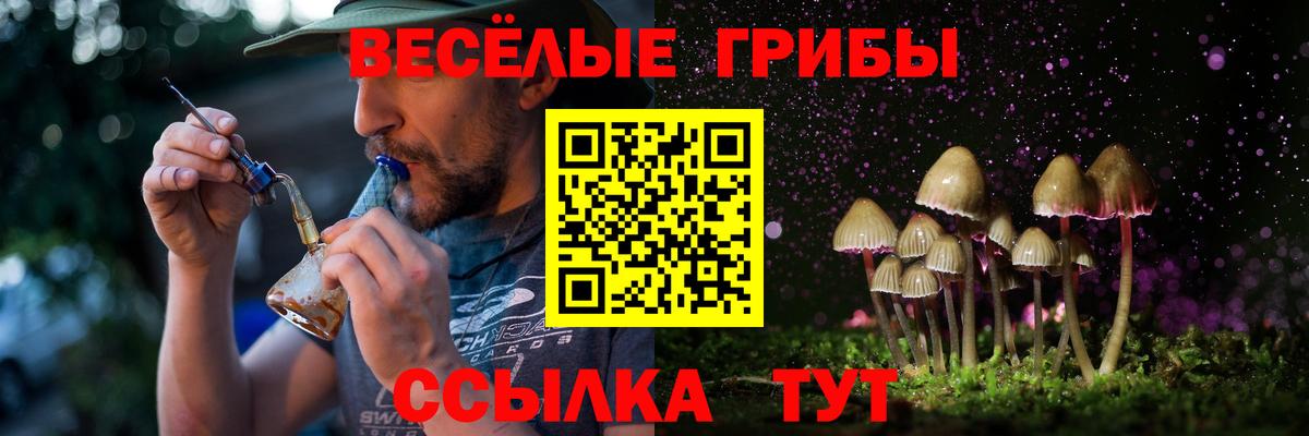 Черкесск  Галлюциногенные грибы Magic Shrooms  Псилоцибиновые грибы Psilocybine cubensis  Вход с VPN 